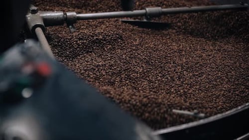 Coffee Beans Being Roasted in Industrial Agitator
