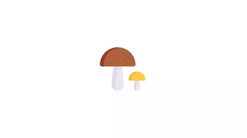 Growing Mushrooms Flat Design Animation