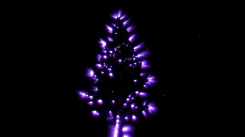 Glowing Purple Tree Abstract Animation on Black