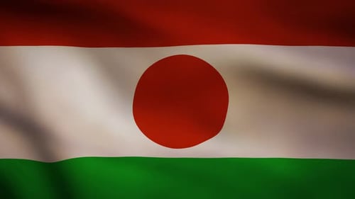 Realistic Waving Flag of Niger Seamless Loop