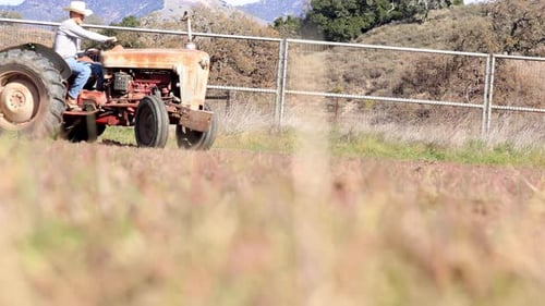 Rancher Harrowing Field Arena Farrow California