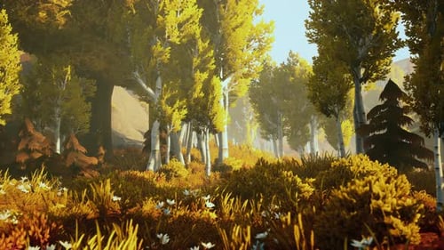 Cartoon Wooded Forest Trees Backlit By Golden Sunlight