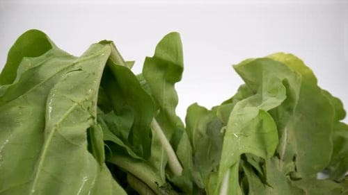 Heap of green fresh rucola or arugula leaf isolated 4K