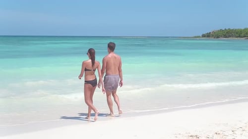 Couple Walks Into Ocean on Tropical Beach by Aerial Drone Attractive