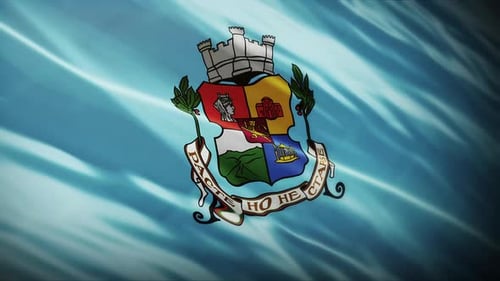 Waving Flag with Detailed Coat of Arms Emblem Animation