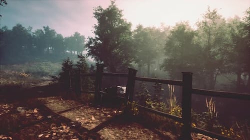 A Tranquil Forest Scene with Trees Surrounded By a Protective Fence