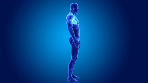 Digital blue human body with glowing heart anatomy