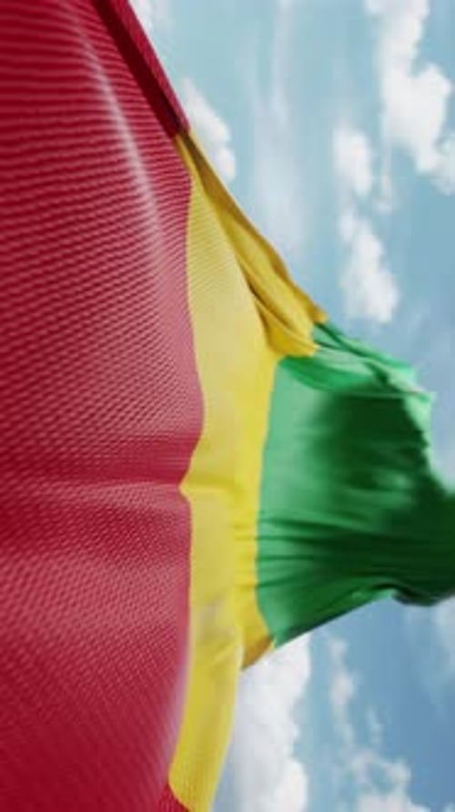 Realistic Red Yellow Green Flag Waving Vertical Video