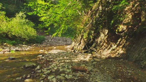 Aerial View Stream of a Mountain River in a Magical Green Forest