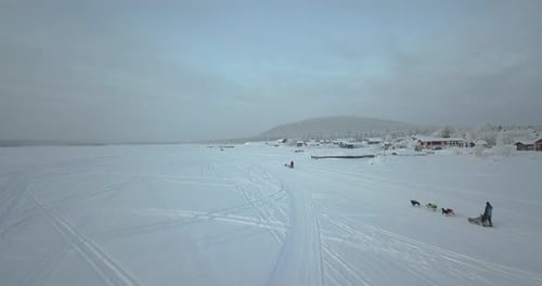 Dog Sledding - Musher Riding A Dog Sled ON A Snowy Field During Winter In Kiruna, Sweden. - aerial