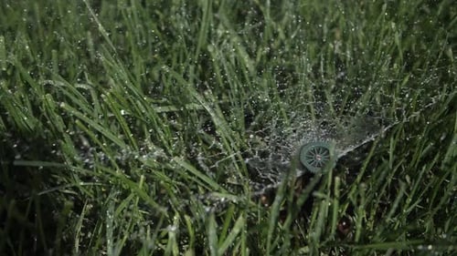 Sprinkler Watering Green Lawn in Close Up Shot