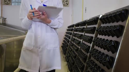 Jeune femme vigneronne vérifiant et examinant la production de vin à la cave en usine.