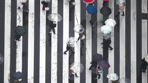 4K Высокий угол обзора: толпа людей, пересекающих пешеходный переход в Токио, Япония, в дождливый день