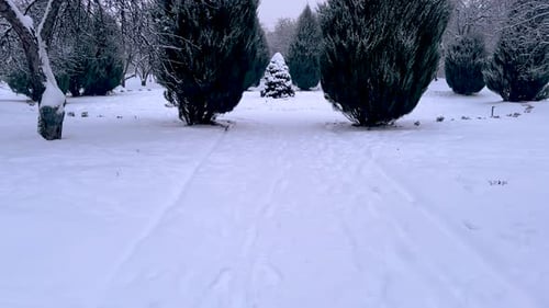 Snowy Landscape with Footprints Through Winter Garden