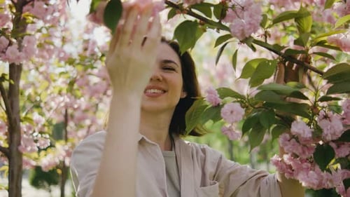 Smiling Woman Admiring Pink Cherry Blossoms in Spring