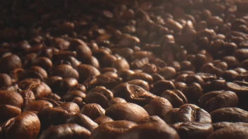 Close Up of Delicious Roasted Coffee Beans
