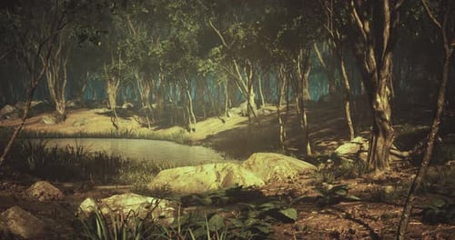 Tranquil Forest Landscape with Pond and Lush Greenery During Daytime