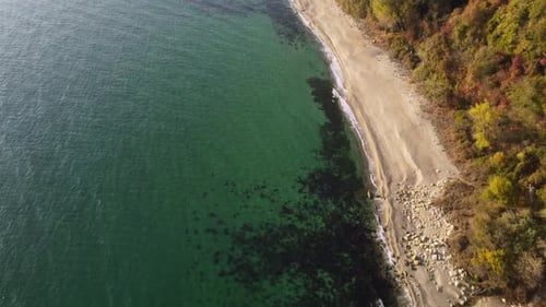 Top-Luftaufnahme des schönen Wildstrandes in Bulgarien im Herbst