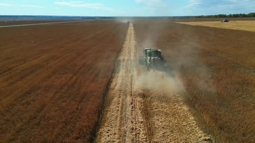 Agriculture Machine Harvesting Grain in Field, Aerial Footage.