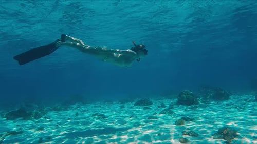 Female Freediver in Bikini Swims Underwater in the Tropical Sea