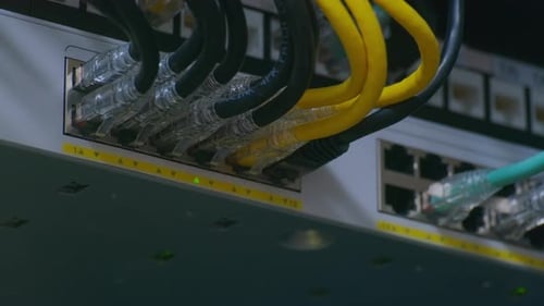 Network Cables Plugged Into Ethernet Switch