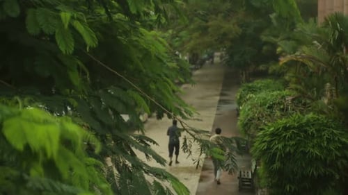 Caminho, Caminhada matinal na trilha, Caminhada, Pessoas asiáticas