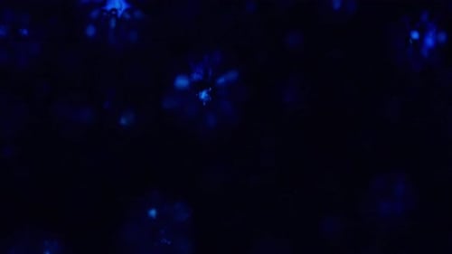 Abstract Microscopic Blue Bubbles and Crystals Fluid Motion Background