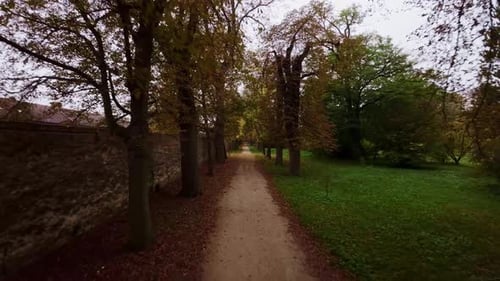 Gerader Weg, der eine Gasse durch den Herbstpark führt. Kühler Morgen mit bunten Blättern auf dem Grün