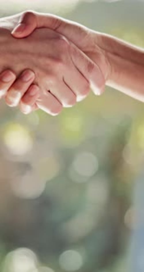 Close-Up of Hands Shake in Natural Light
