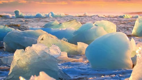 Icebergs Shining on a Black Beach During Golden Hour Sunrise on Diamond Beach in Iceland Popular