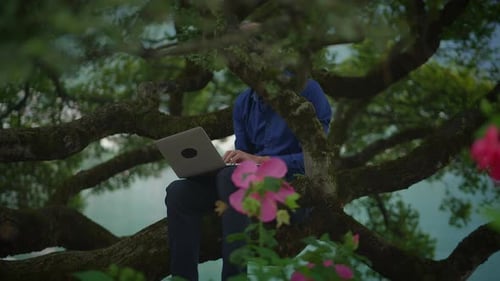 Man Working on Laptop While Sitting in Tree