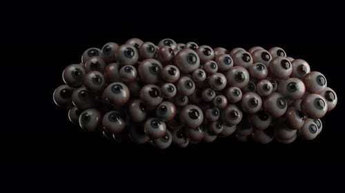 Surreal Morphing Eyeballs Cluster Animation