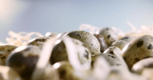 Selective Focus Quail Close Up of Quail Eggs in Straw Nest Organic Farming Natural Stilllife