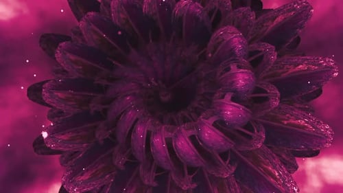 Shimmering Abstract Organic Flower Rotation Background