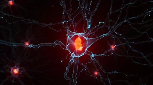 Animação 3D da divisão celular sob um microscópio. Dividindo e multiplicando