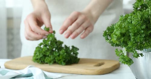Hands Chopping Fresh Parsley on Cutting Board