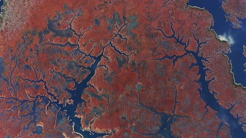 aerial shot of the dalyan delta from the top.
A view from natural labyrinths formed by reeds in Dal