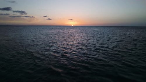 Ocean Waves Sunrise with Birds Flying Aerial