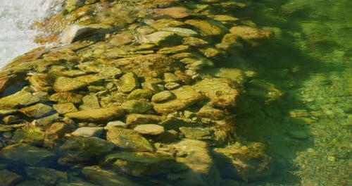 Rocky Riverbed with Golden Stones Under Clear Moving Freshwater of Cetina River