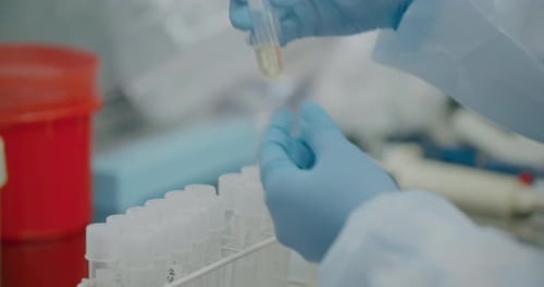 Gloved hand examining test tube in laboratory