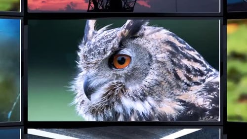 Dynamic Media Wall Grid Rotating Content Showcase