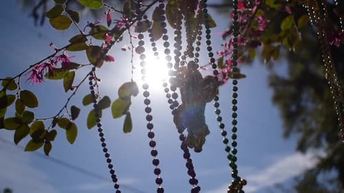 Brillas de Mardi Gras soleadas al aire libre y flor de lis en la rama de un árbol que fluye