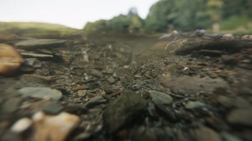 Close up underwater shot of a clear river with small fish on a bright sunny day and stony bottom