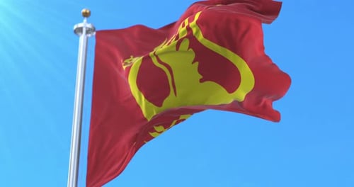 Waving Red Flag with Yellow Stylized Creature Emblem