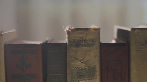 Vintage Clothbound Volumes Aligned on Shelf Creating Nostalgic Academic Atmosphere