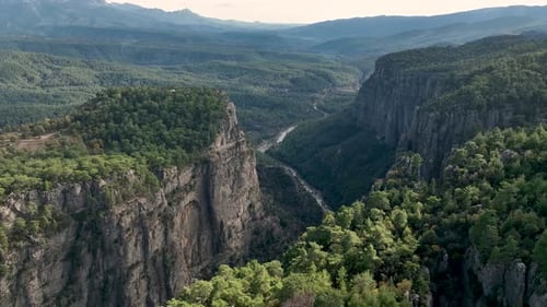 Luftaufnahme des Deep Canyons, epische Felsen und grüne Wälder, Luftaufnahme