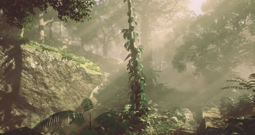 Dense Forest with Sunlight Filtering Through Trees in a Tranquil Environment