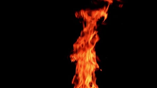 Bright Orange Flames Flickering on Black Background