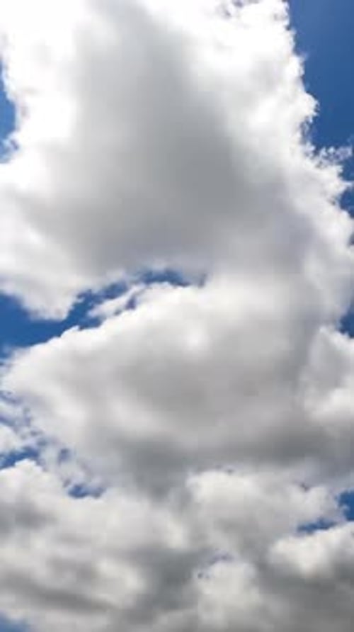 Fluffy small clouds transforming quickly into grey cloudscape. View from below. Timelapse.