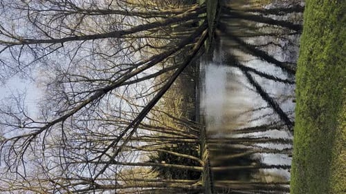 Beau printemps, lac et forêt, saison printanière, fond naturel abstrait, silhouettes floues de